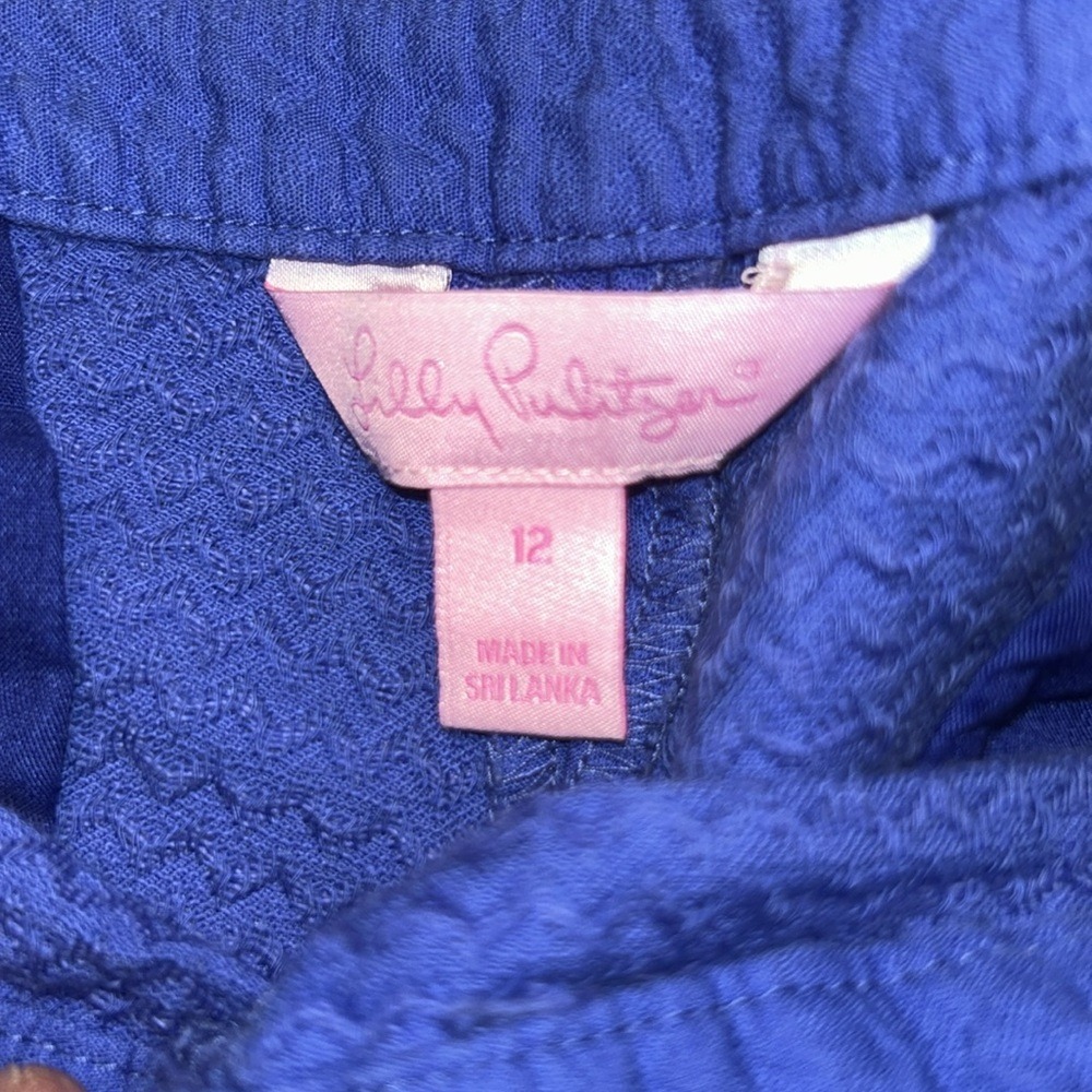 Lilly Pulitzer Coastal Preppy Callahan Blue Seersucker Shorts Side Zip Classic - Picture 3 of 6